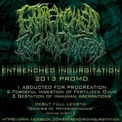 Entrenched Ingurgitation : Promo 2013